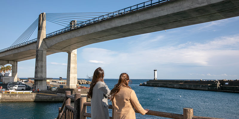 Odawara Fishing Harbor