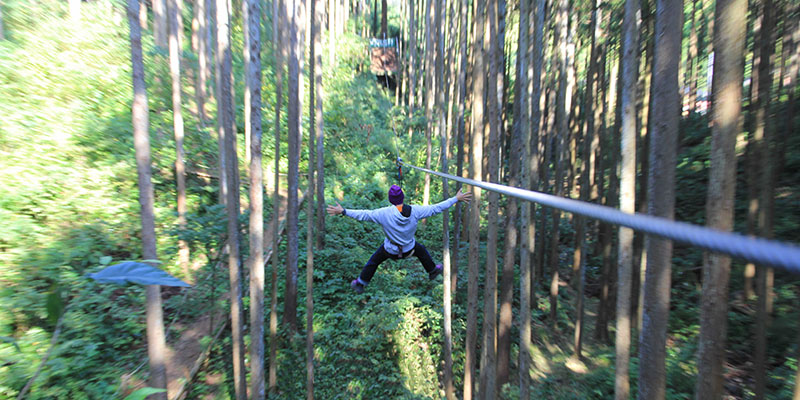 Forest Adventure Odawara