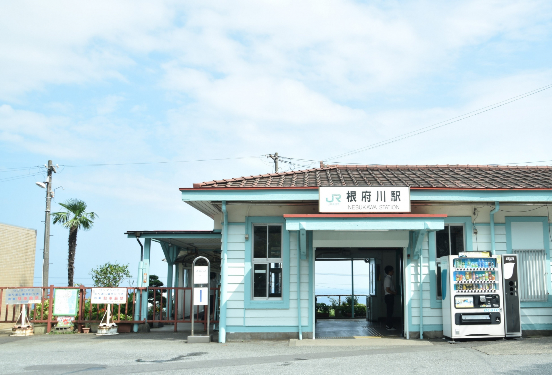 樹上のアスレチック