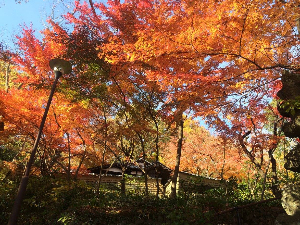 小田原の山