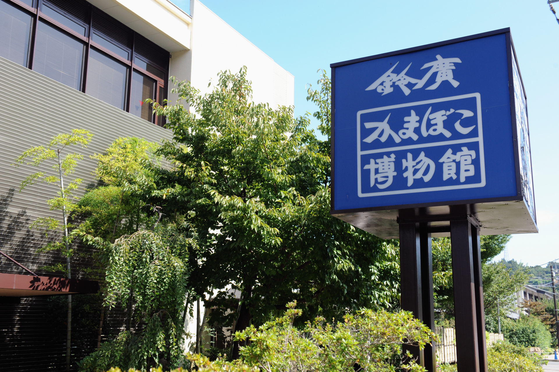 小田原の山